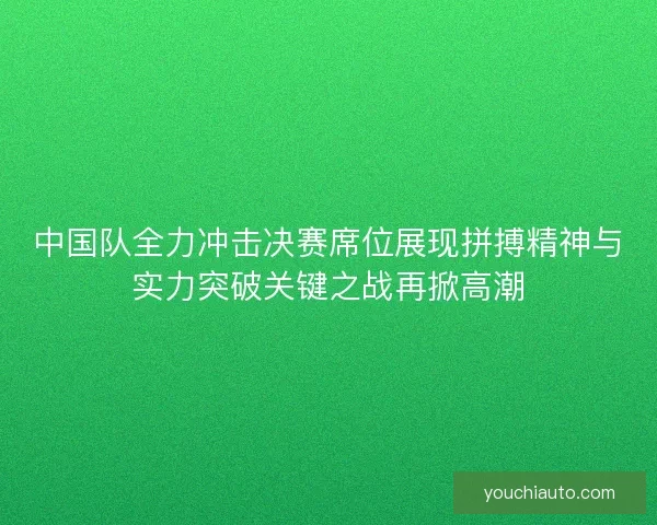 中国队全力冲击决赛席位展现拼搏精神与实力突破关键之战再掀高潮
